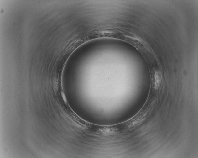 X0000069380558200605192152