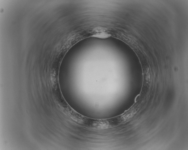 X0000069380559200605192152