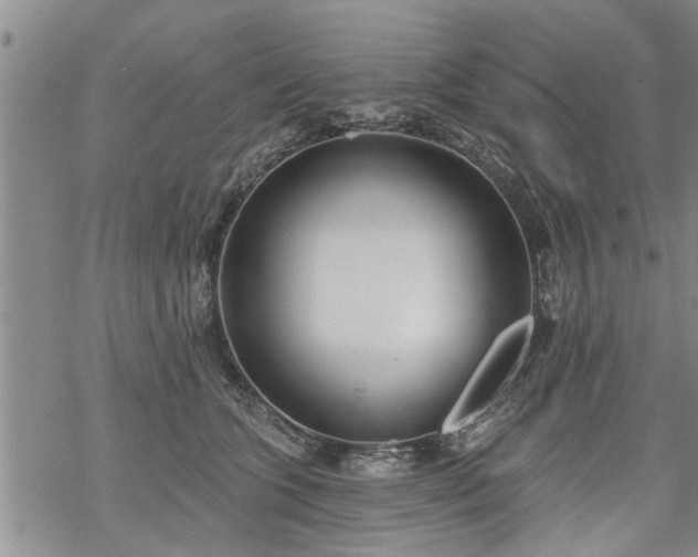 X0000069380563200605192152