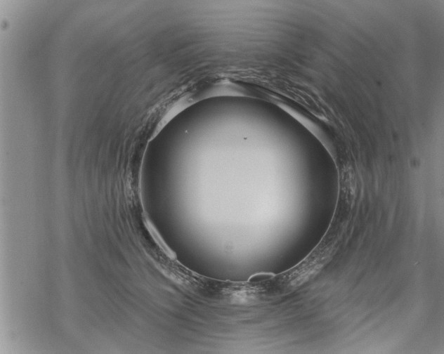 X0000069380564200605192152