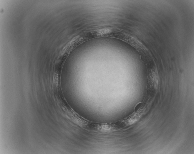 X0000069380565200605192152