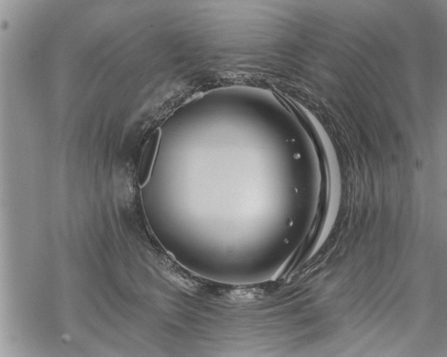 X0000069380566200605192152