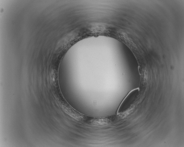 X0000069380567200605192152