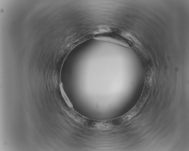 X0000069380568200605192152