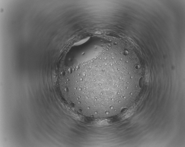 X0000069380569200605192152