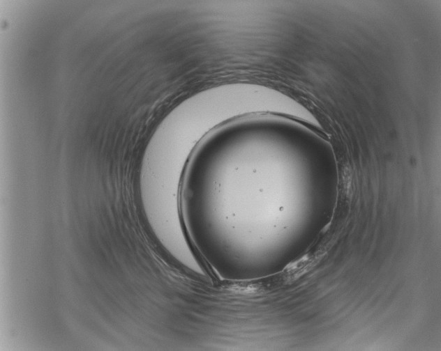 X0000069380570200605192152