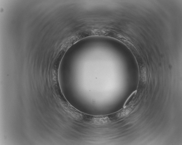 X0000069380571200605192152