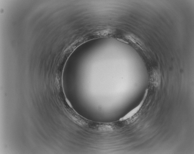 X0000069380572200605192152