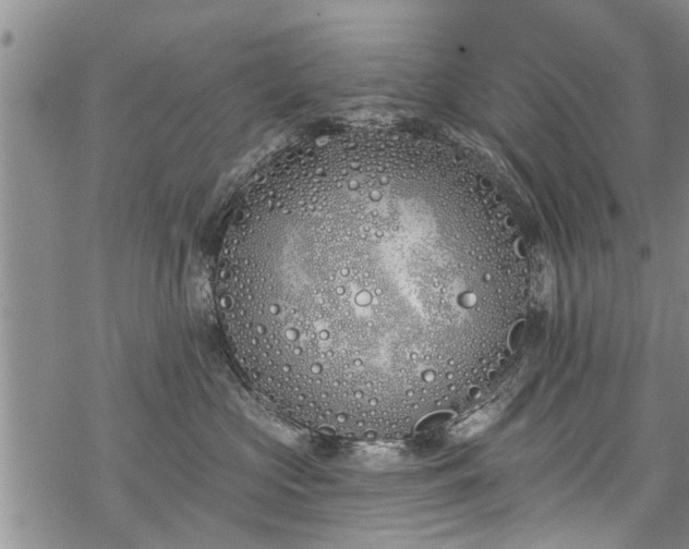 X0000069380573200605192152