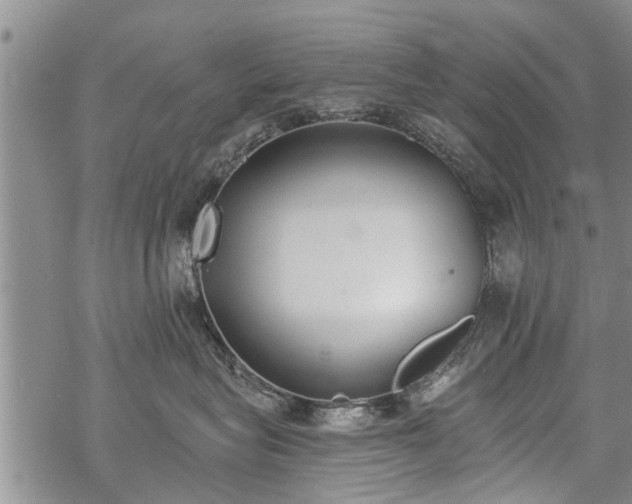 X0000069380575200605192152