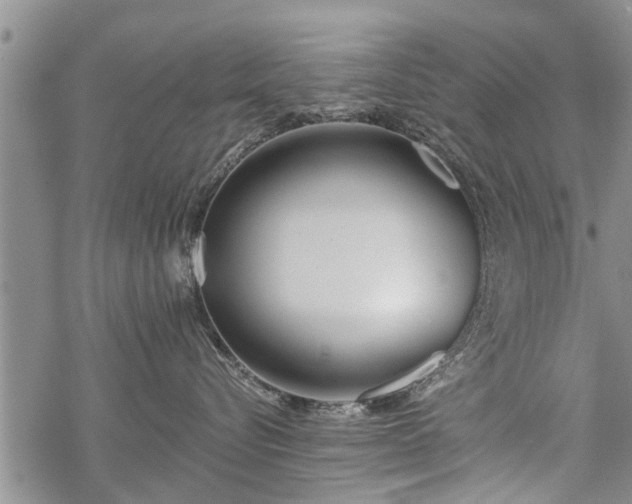 X0000069380576200605192152