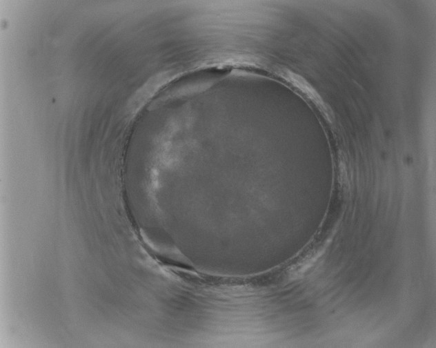 X0000069380577200605192151