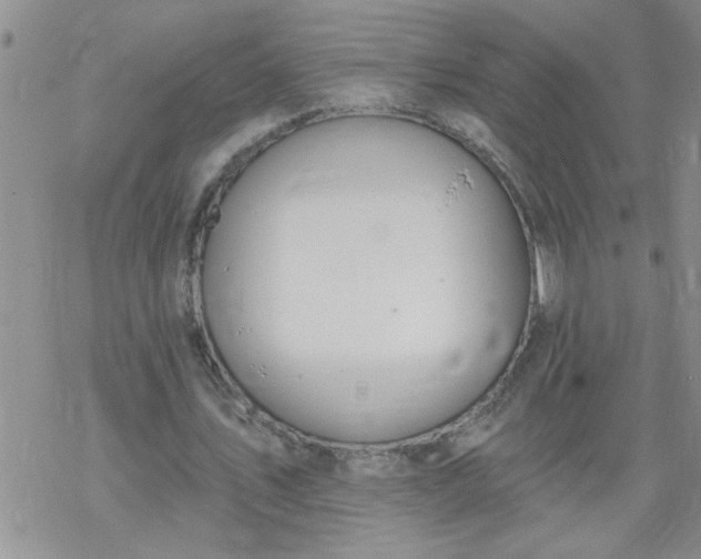 X0000069380579200605192151