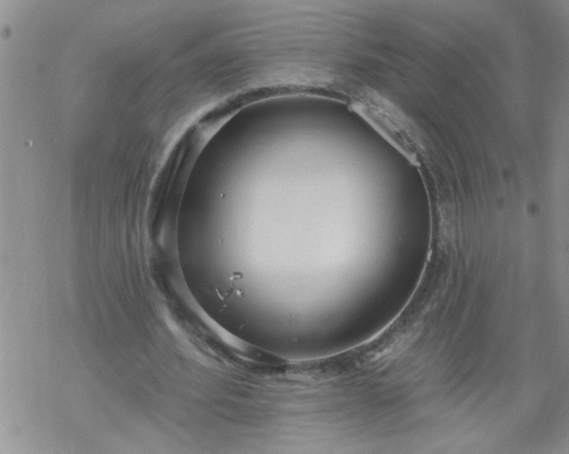 X0000069380580200605192151