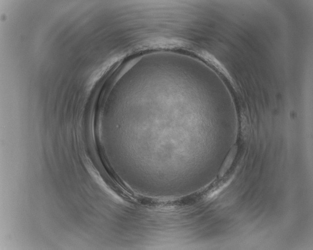 X0000069380581200605192151