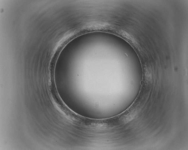 X0000069380582200605192151