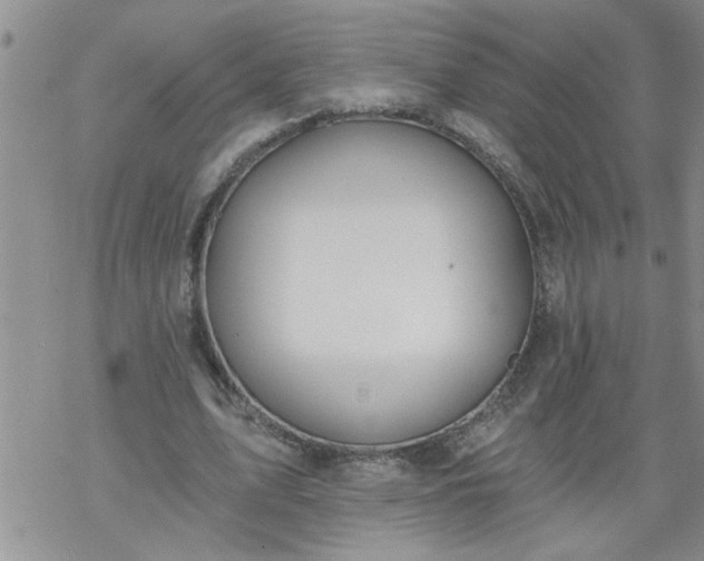 X0000069380583200605192151