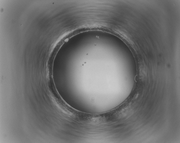 X0000069380584200605192151