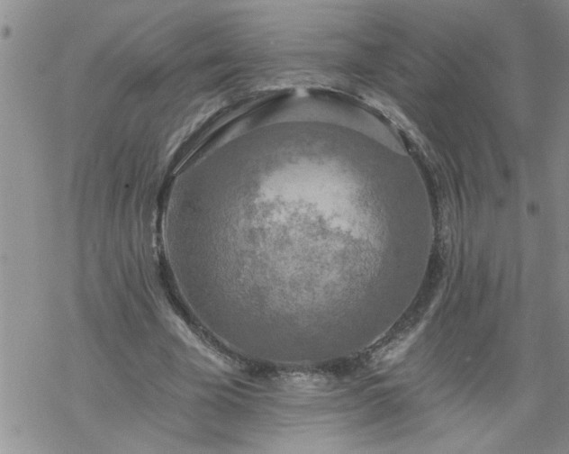 X0000069380585200605192151