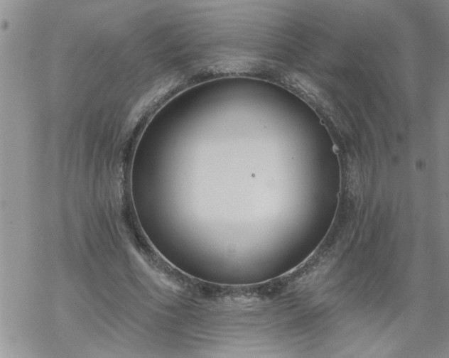 X0000069380586200605192151