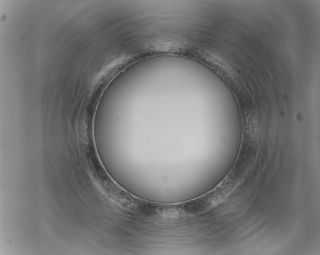 X0000069380587200605192151