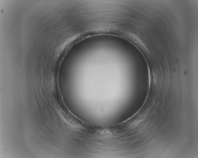 X0000069380588200605192151