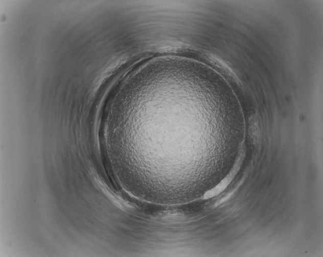 X0000069380589200605192151