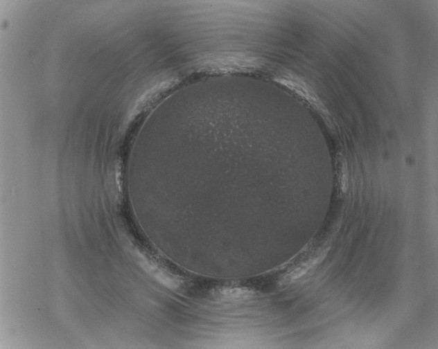 X0000069380590200605192151