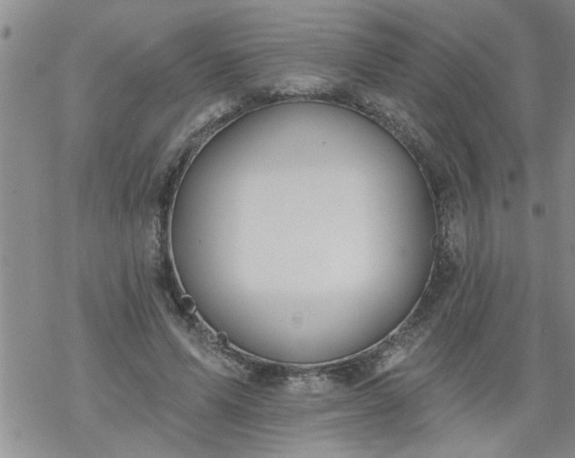 X0000069380591200605192151