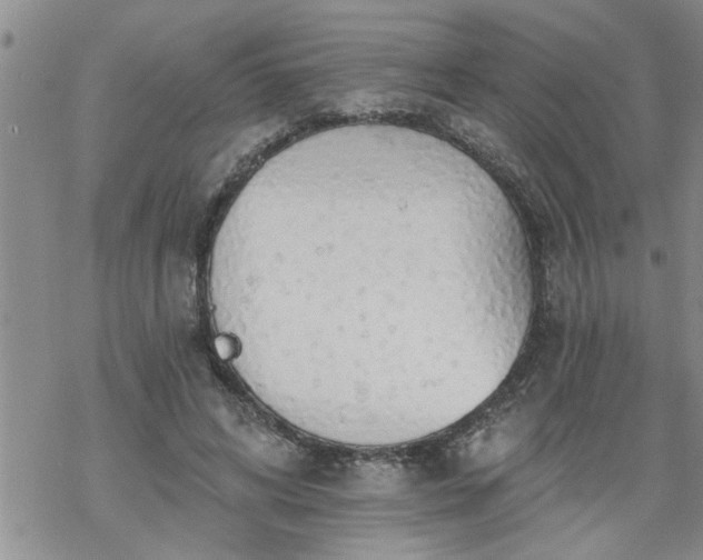 X0000069380592200605192151