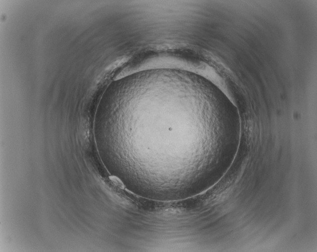 X0000069380593200605192151