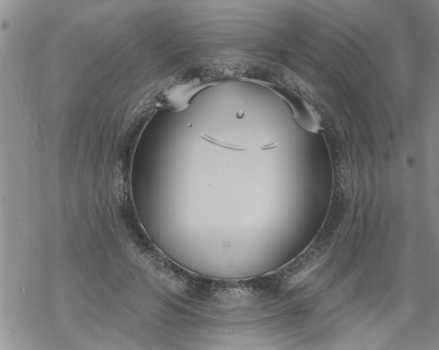 X0000069380594200605192151