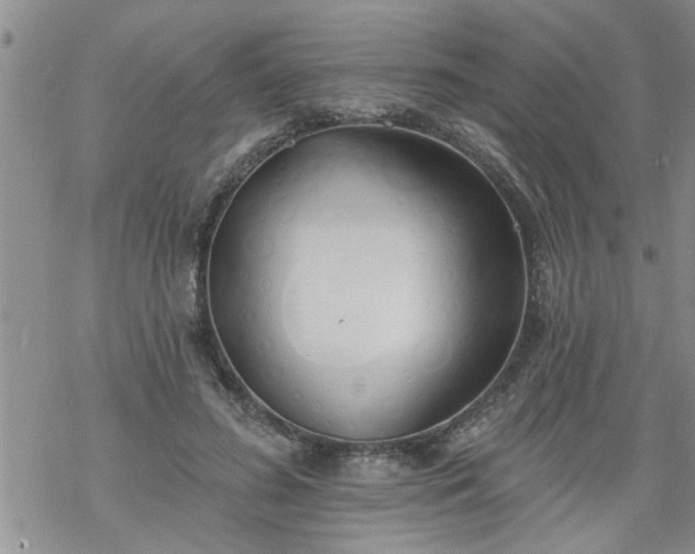 X0000069380596200605192151