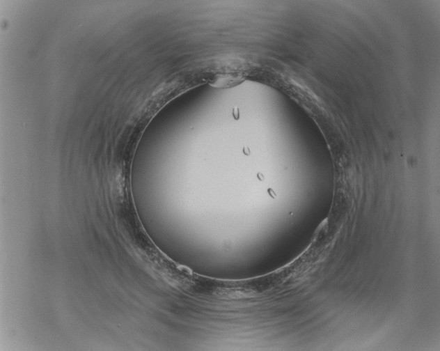 X0000069380597200605192151