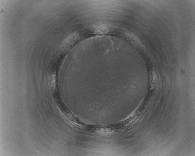 X0000069380598200605192151