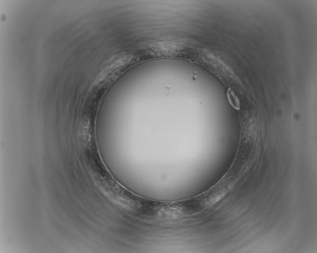 X0000069380599200605192151