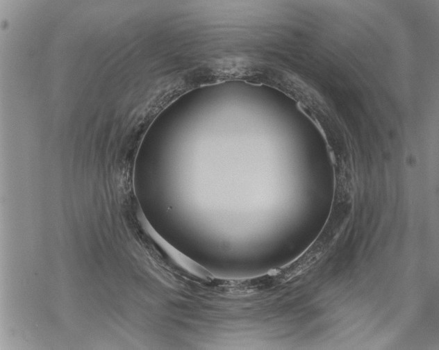 X0000069380601200605192151