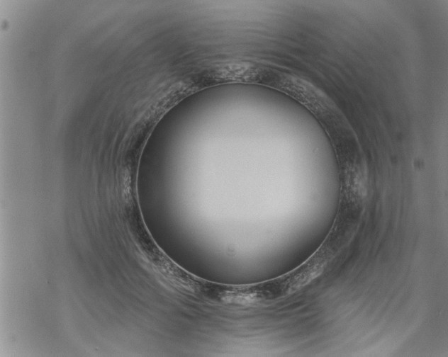 X0000069380602200605192151