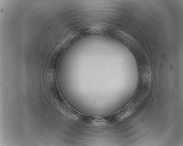 X0000069380603200605192151