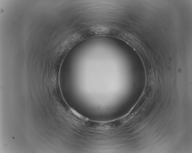 X0000069380604200605192151