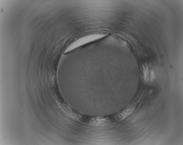 X0000069380607200605192151