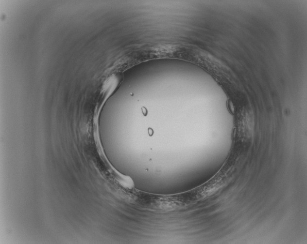 X0000069380608200605192151