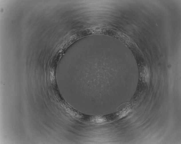 X0000069380610200605192151