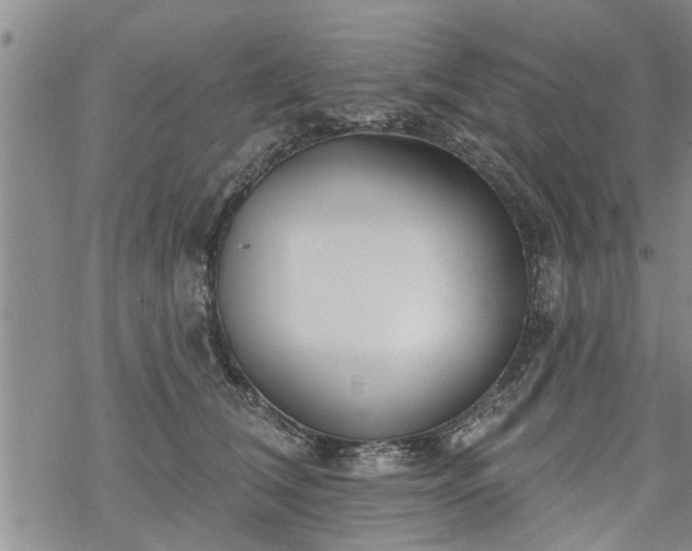 X0000069380612200605192150