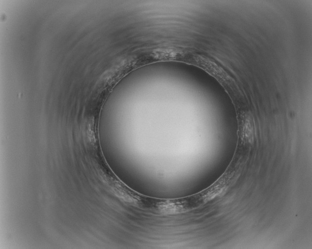 X0000069380616200605192150