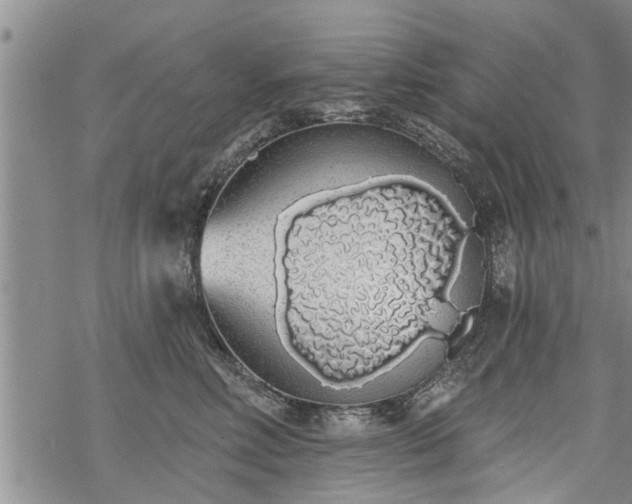 X0000069380618200605192150