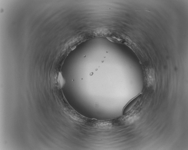 X0000069380619200605192150