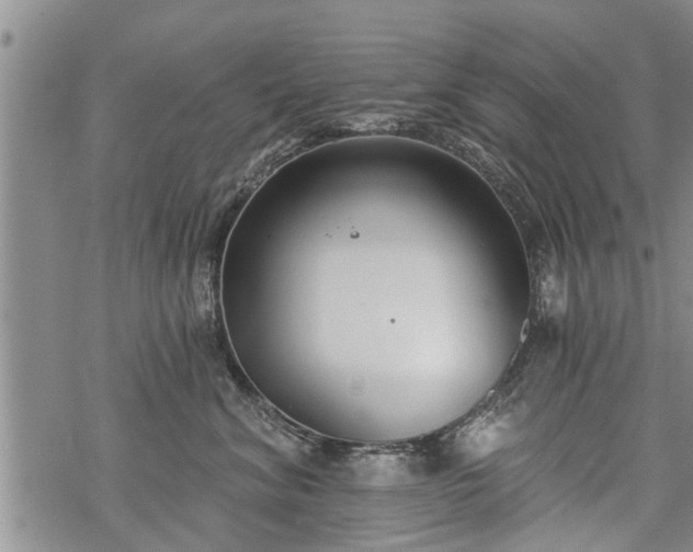 X0000069380620200605192150