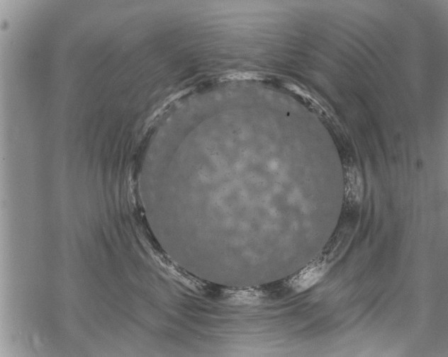 X0000069380621200605192150