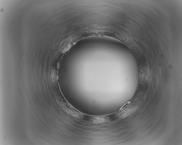 X0000069380623200605192150